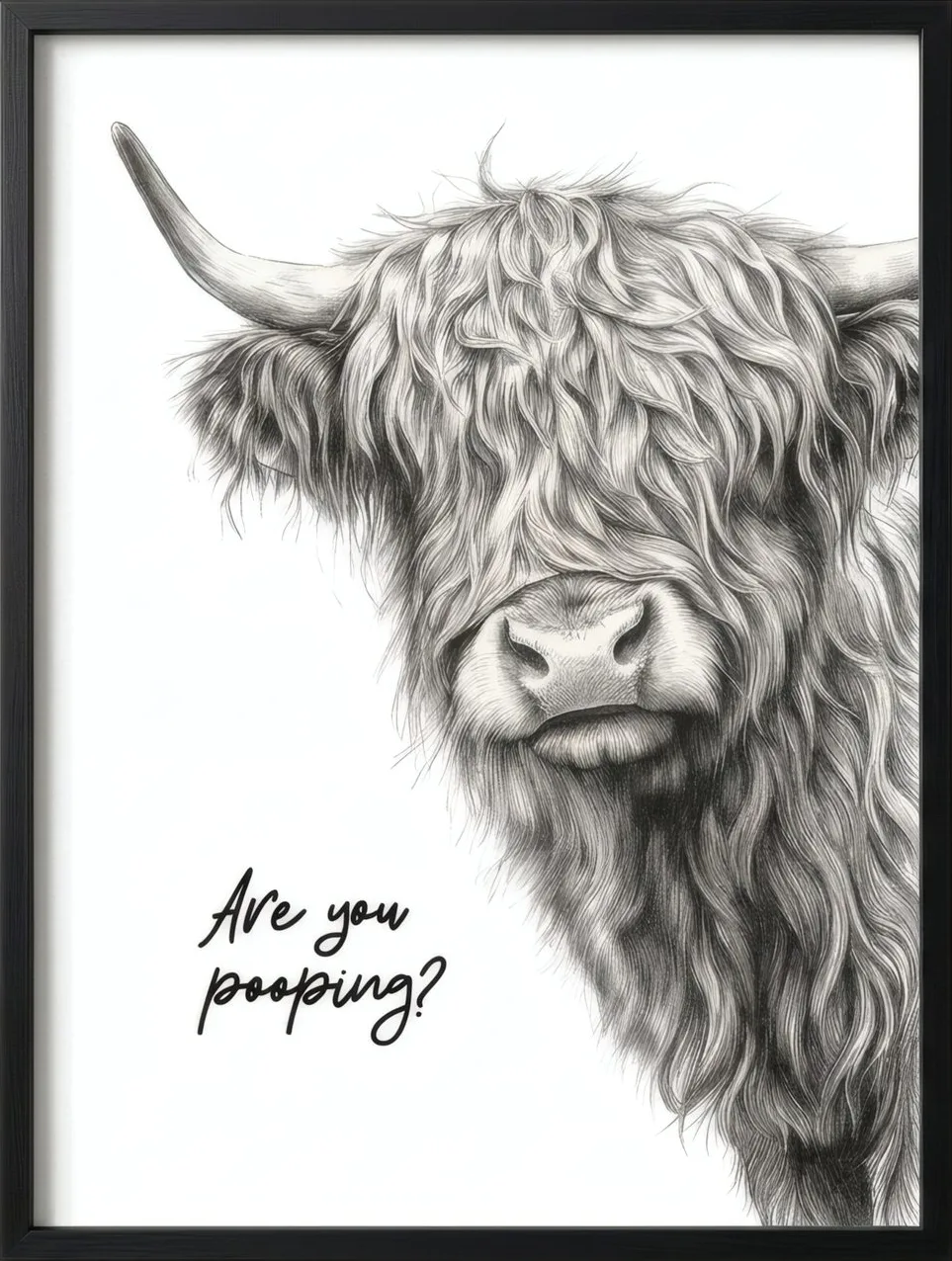Are You Peeping? Highland Cow, art print