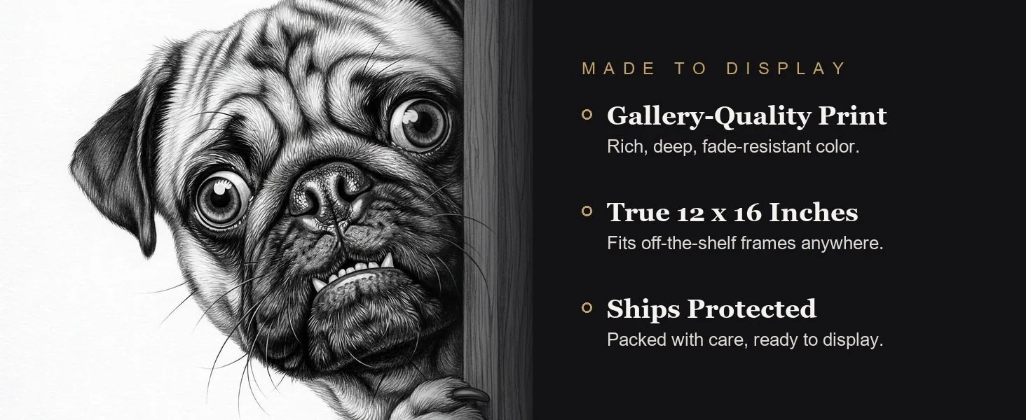 Made to display: gallery-quality print, true 12 x 16 inches, ships protected.