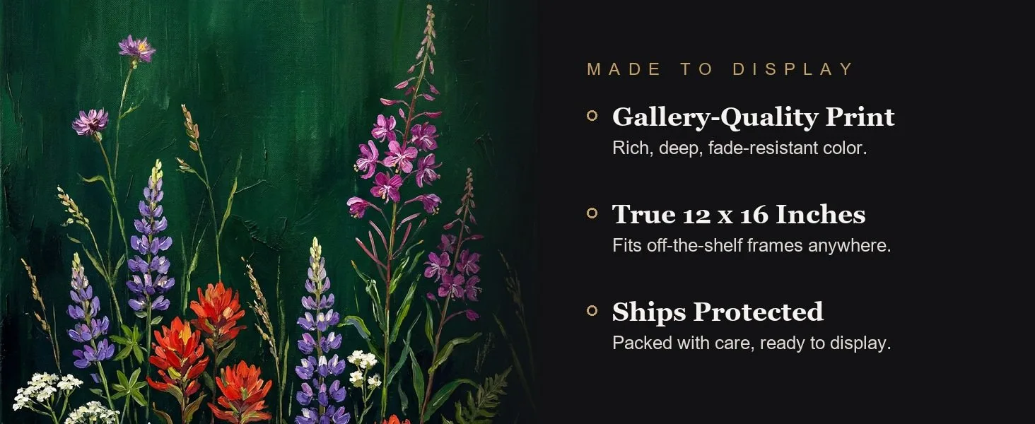 Made to display: gallery-quality print, true 12 x 16 inches, ships protected.