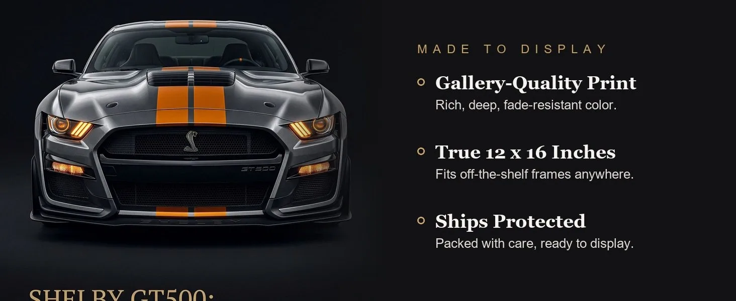 Made to display: gallery-quality print, true 12 x 16 inches, ships protected.